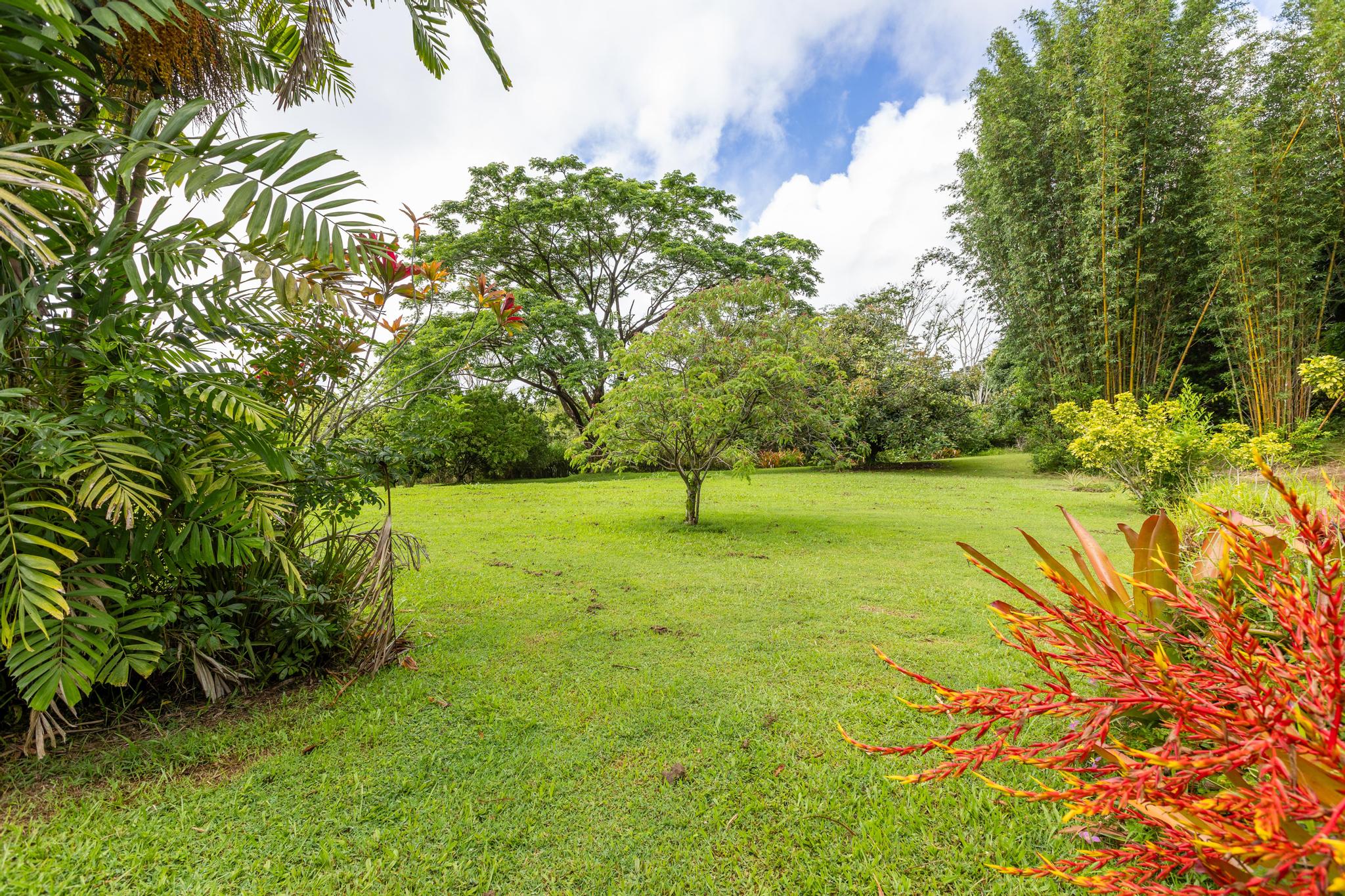 28-433 Overpass Road Pepeekeo, HI 96783 - Photo 17 of 30