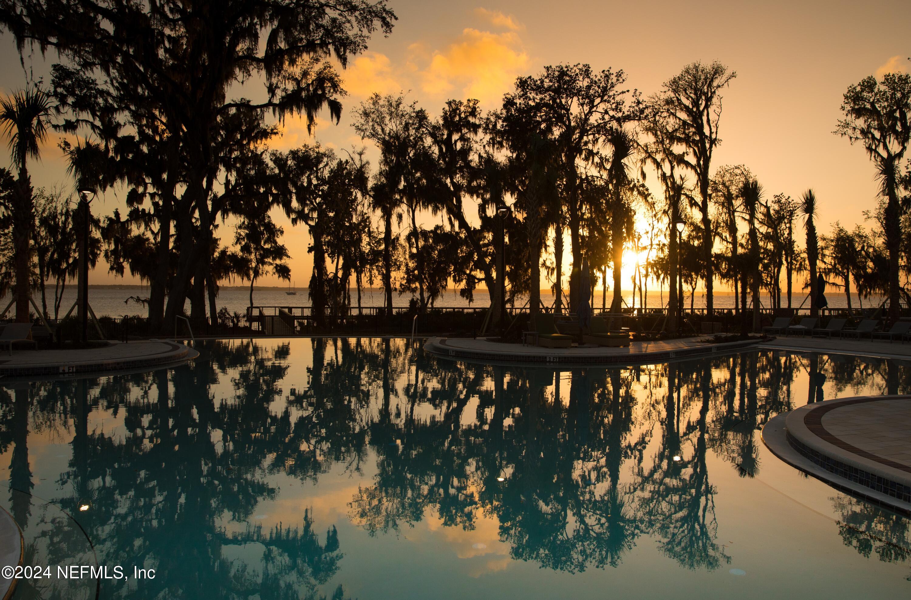 163 Harrow Cove St. Johns, FL 32259 - Photo 11 of 58 a view of swimming pool and trees in the background