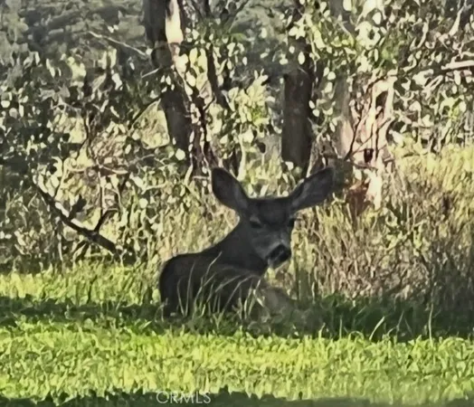 $5,500,000 | 0 Th, Trabuco Canyon, CA 92679