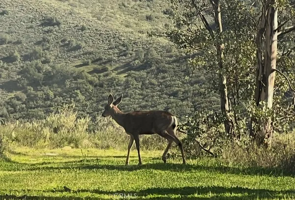 $5,500,000 | 0 Th, Trabuco Canyon, CA 92679