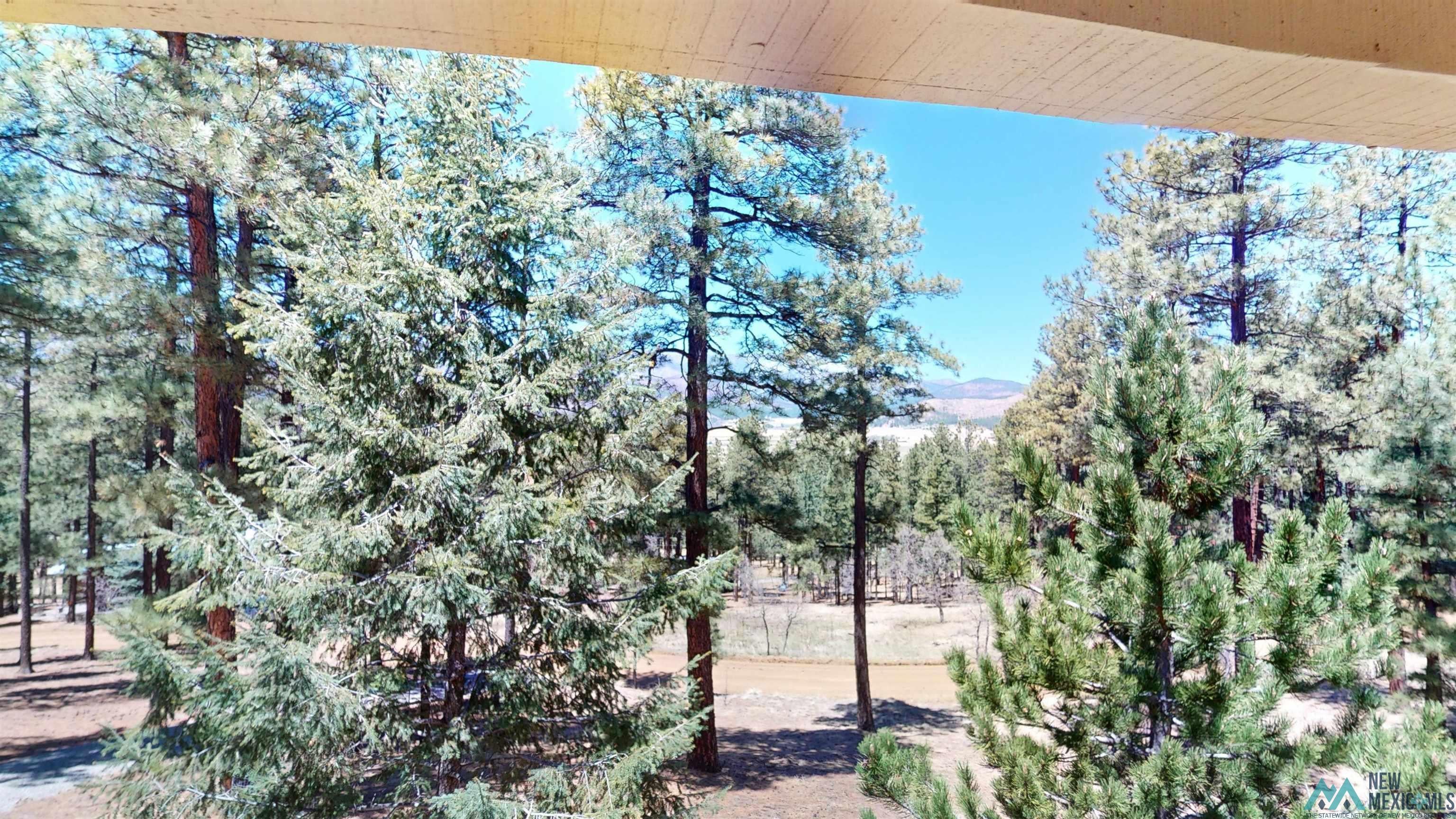 39 Alta Vista Rociada, NM 87742 - Photo 19 of 54 Expansive forested setting with mature evergreen trees and a distant mountain range under a clear sky
