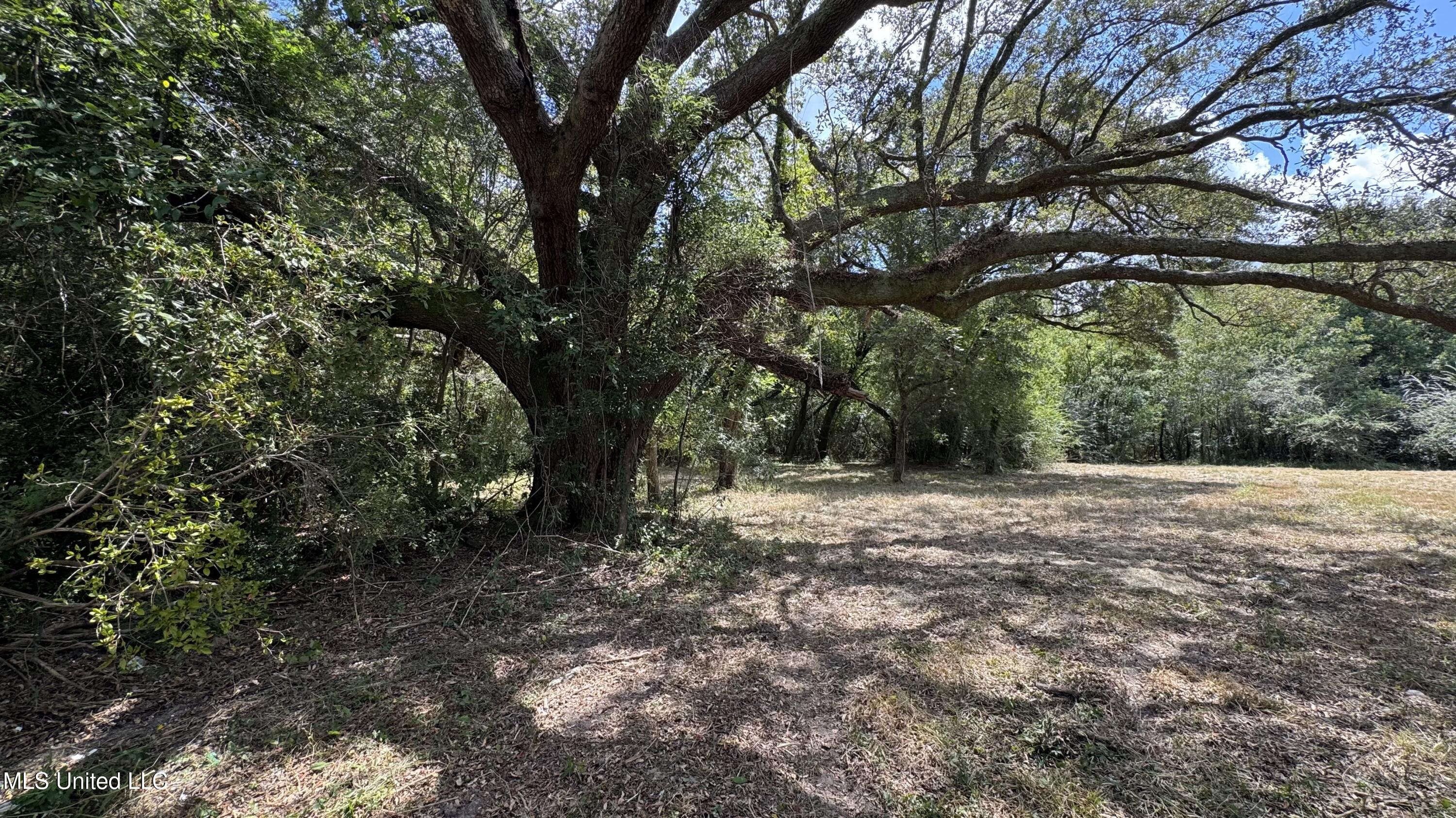 0 Oneal Road Gulfport, MS 39503 - Photo 2 of 7 1.6 Acre lot