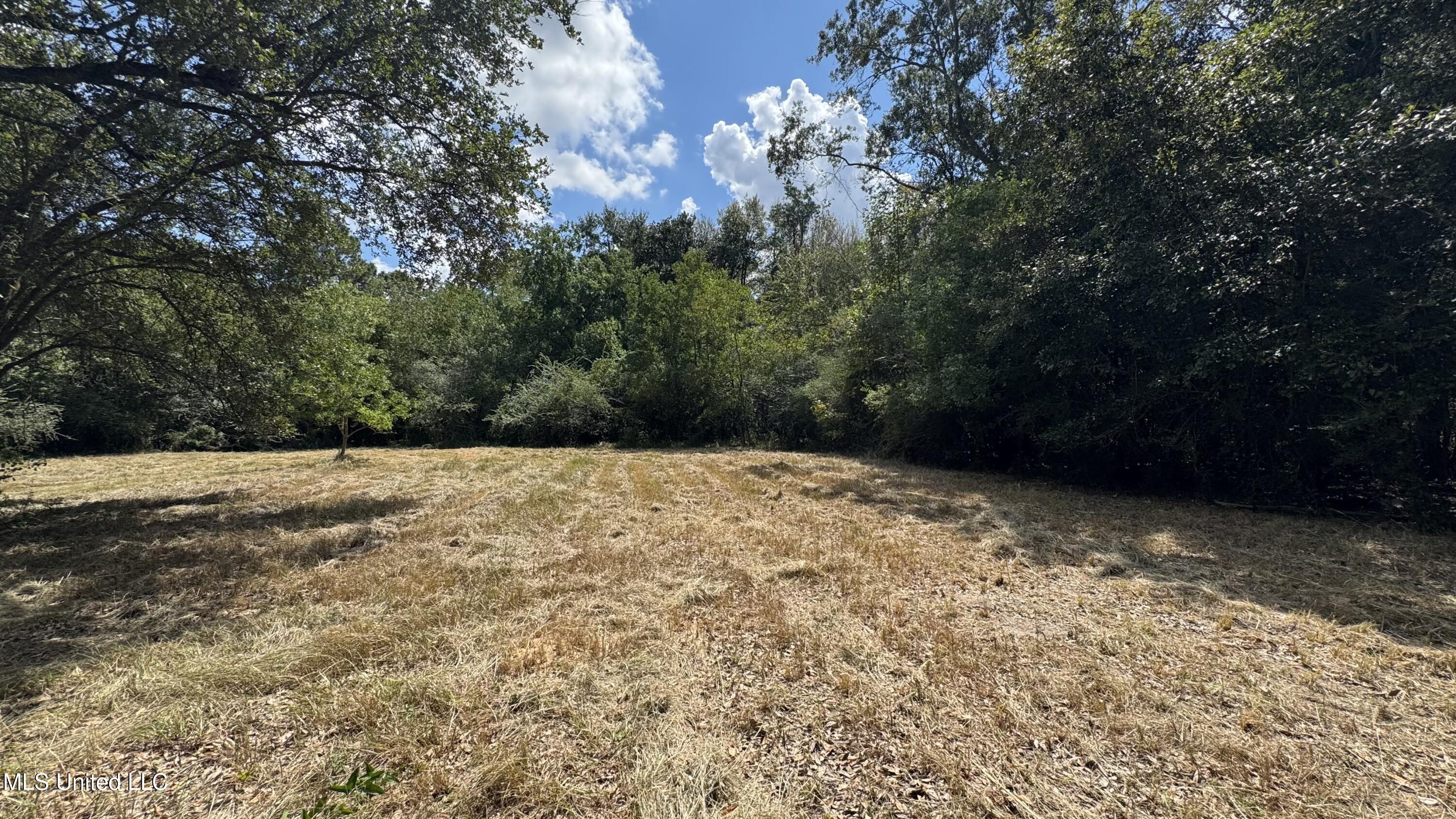 0 Oneal Road Gulfport, MS 39503 - Photo 3 of 7 IMG_0280