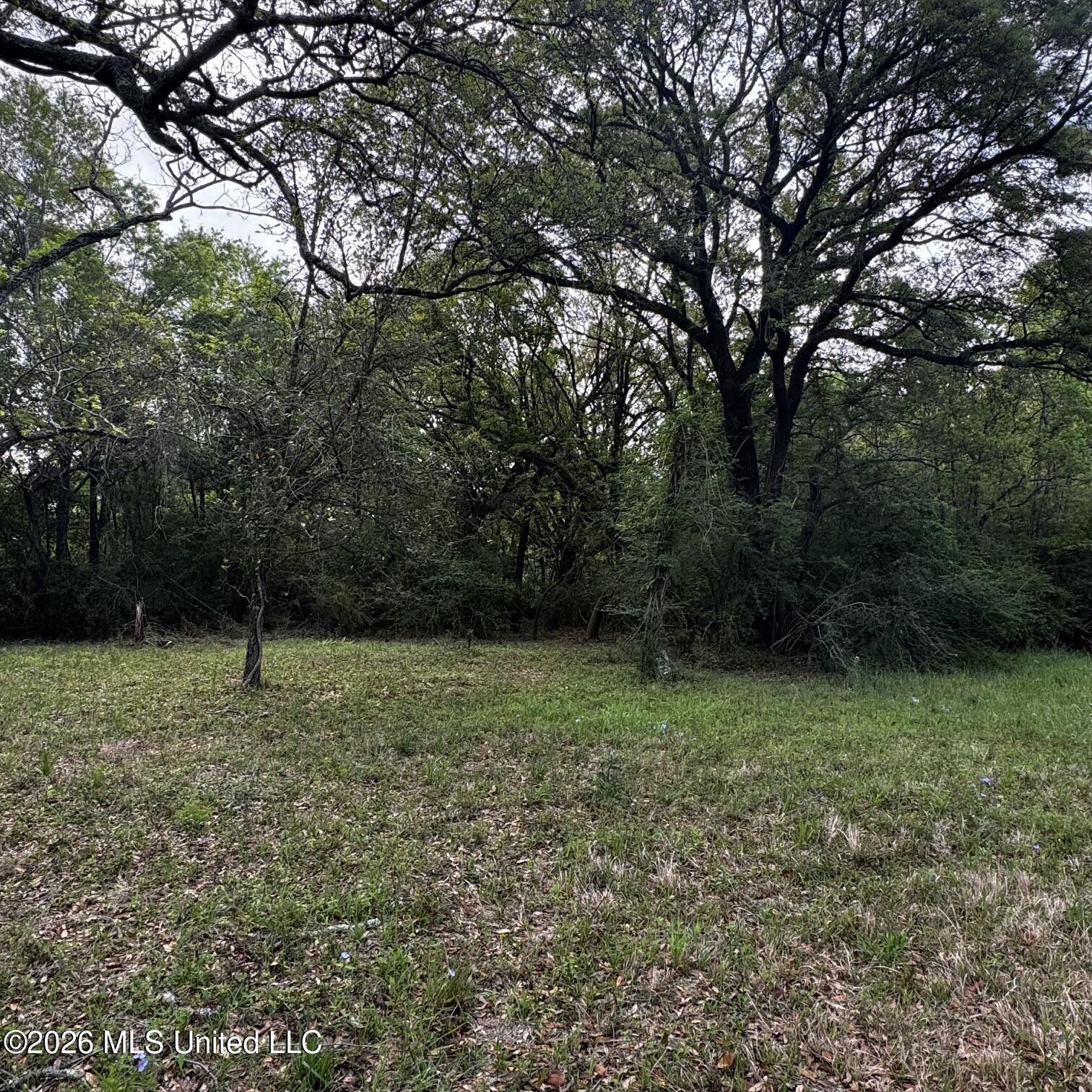 0 Oneal Road Gulfport, MS 39503 - Photo 5 of 7 IMG_3176