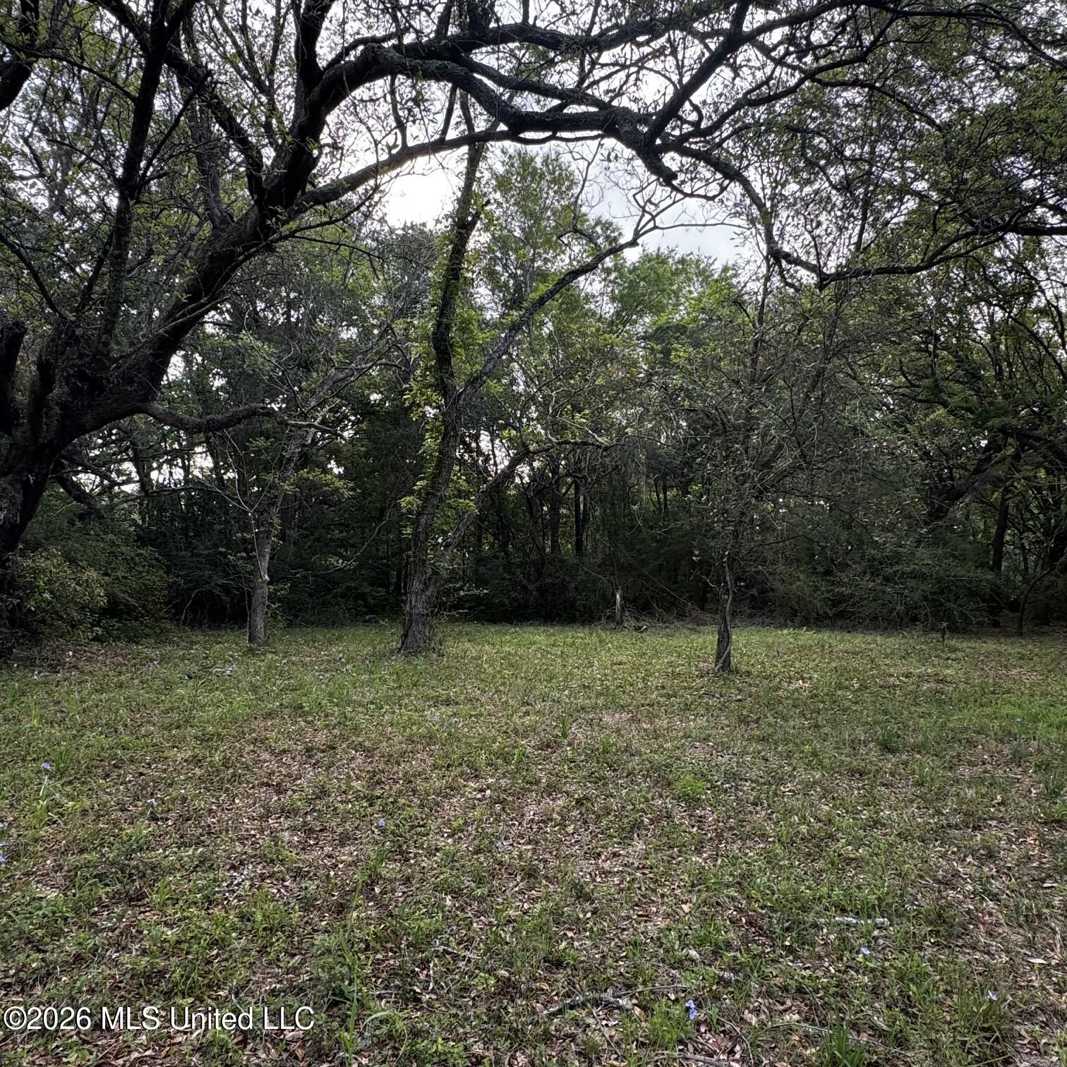 0 Oneal Road Gulfport, MS 39503 - Photo 6 of 7 IMG_3175