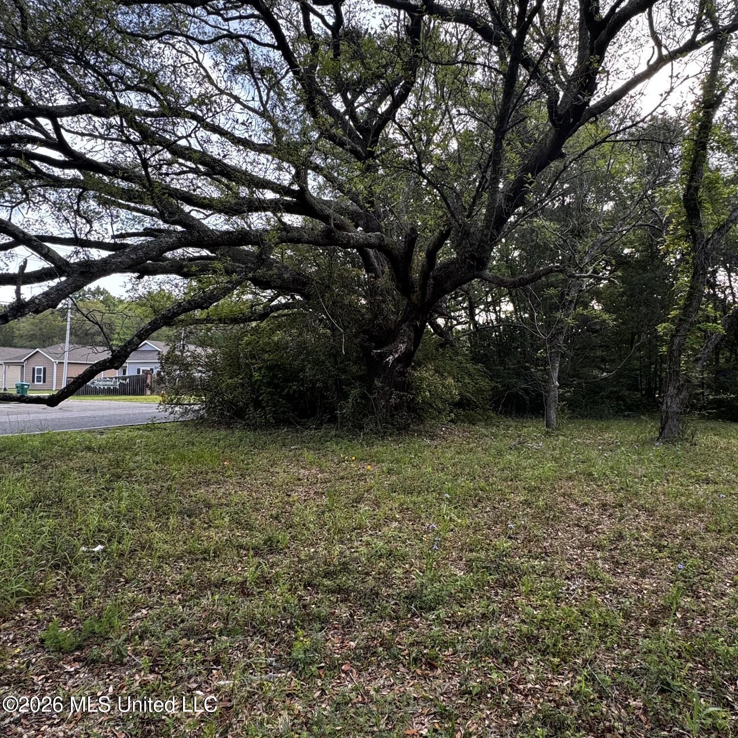 0 Oneal Road Gulfport, MS 39503 - Photo 7 of 7 IMG_3174