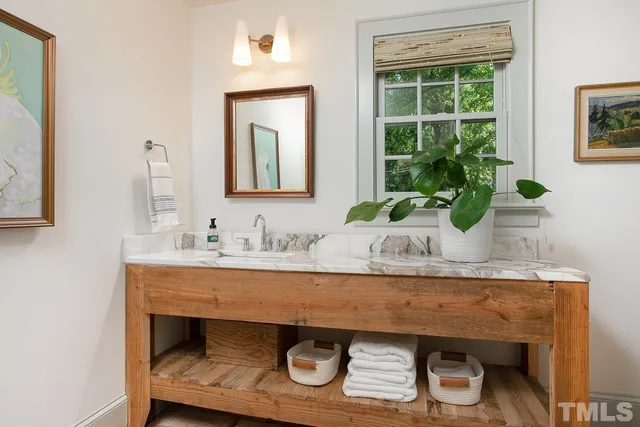 a bathroom with a sink a mirror and a potted plant