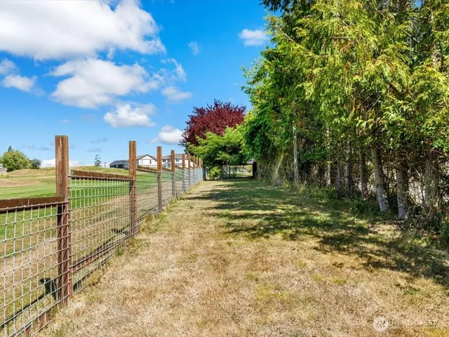 a view of a park with large trees