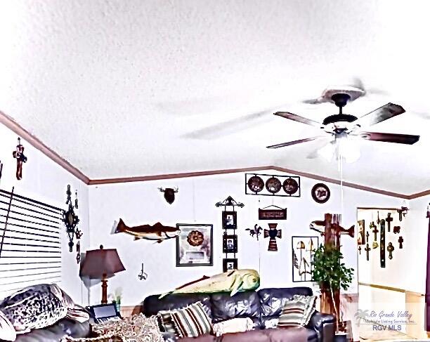 13612 North Pomelo Road Santa Rosa, TX 78593 - Photo 3 of 12 Gallery Image 3