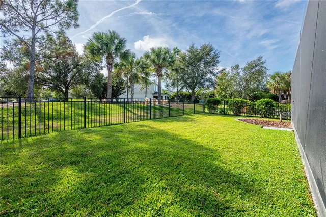 a view of a park with a large trees