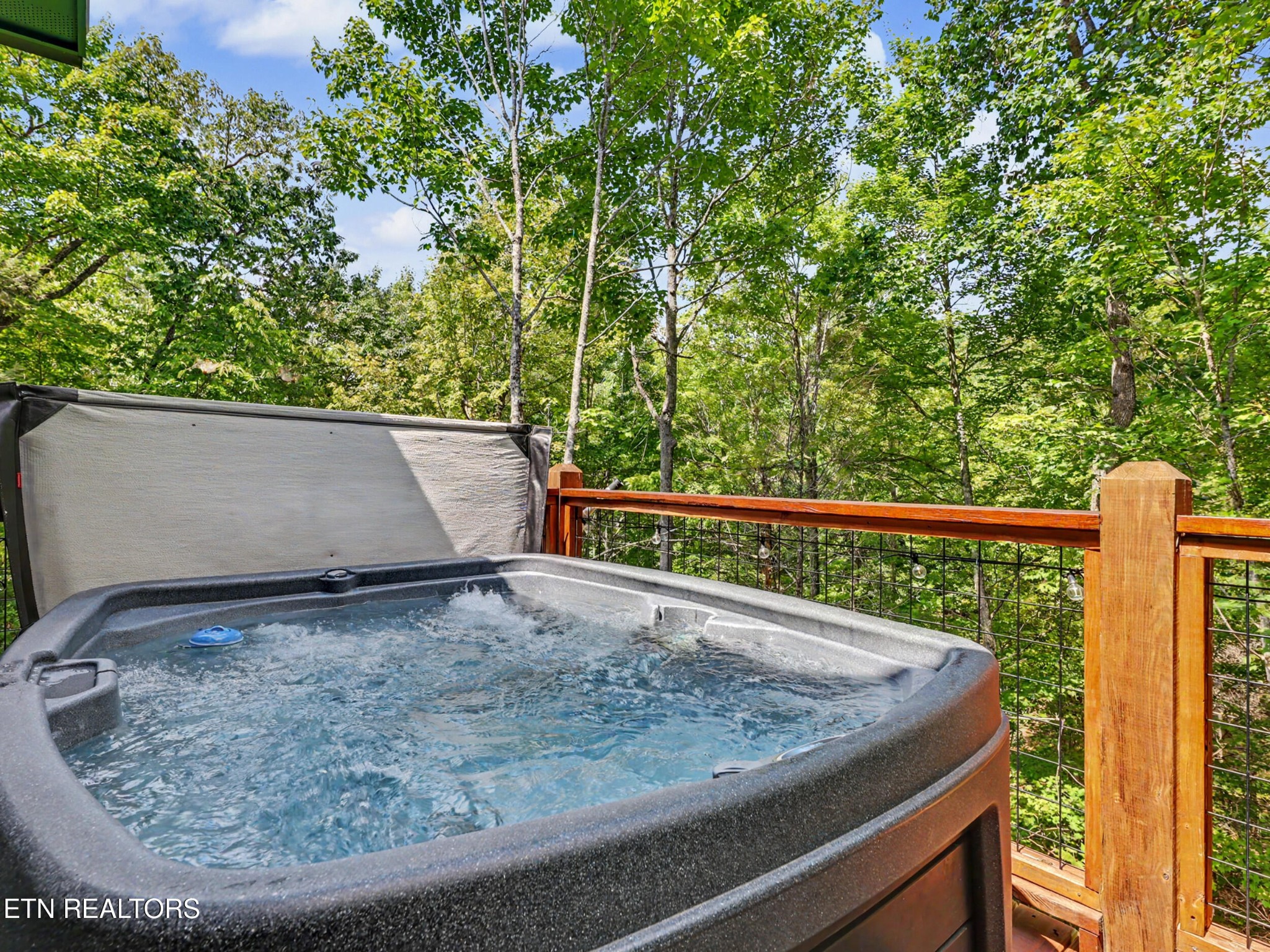 24072412 Ridgehigh Pass Sevierville, TN 37876 - Photo 16 of 39 Gallery Image 16