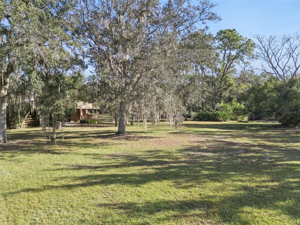 Brigham Loop Geneva, FL 32732 - Photo 4 of 48 Gallery Image 4