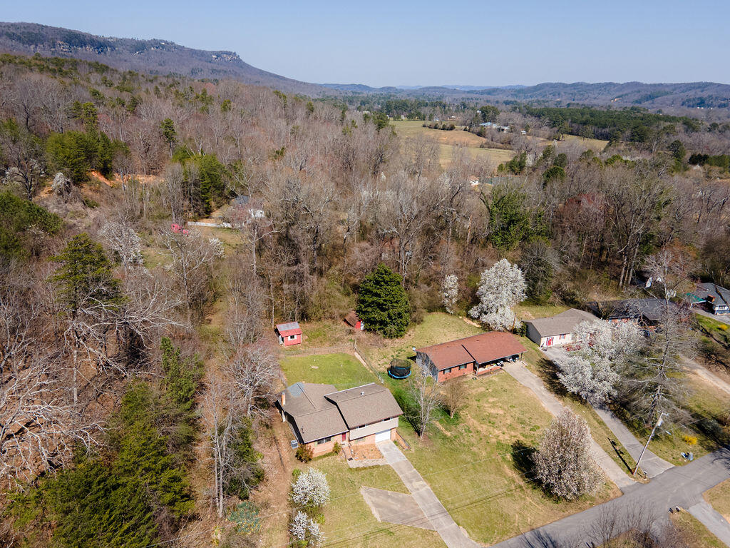 142 Bluff View Circle Flintstone, GA 30725 - Photo 45 of 46 BluffView-23