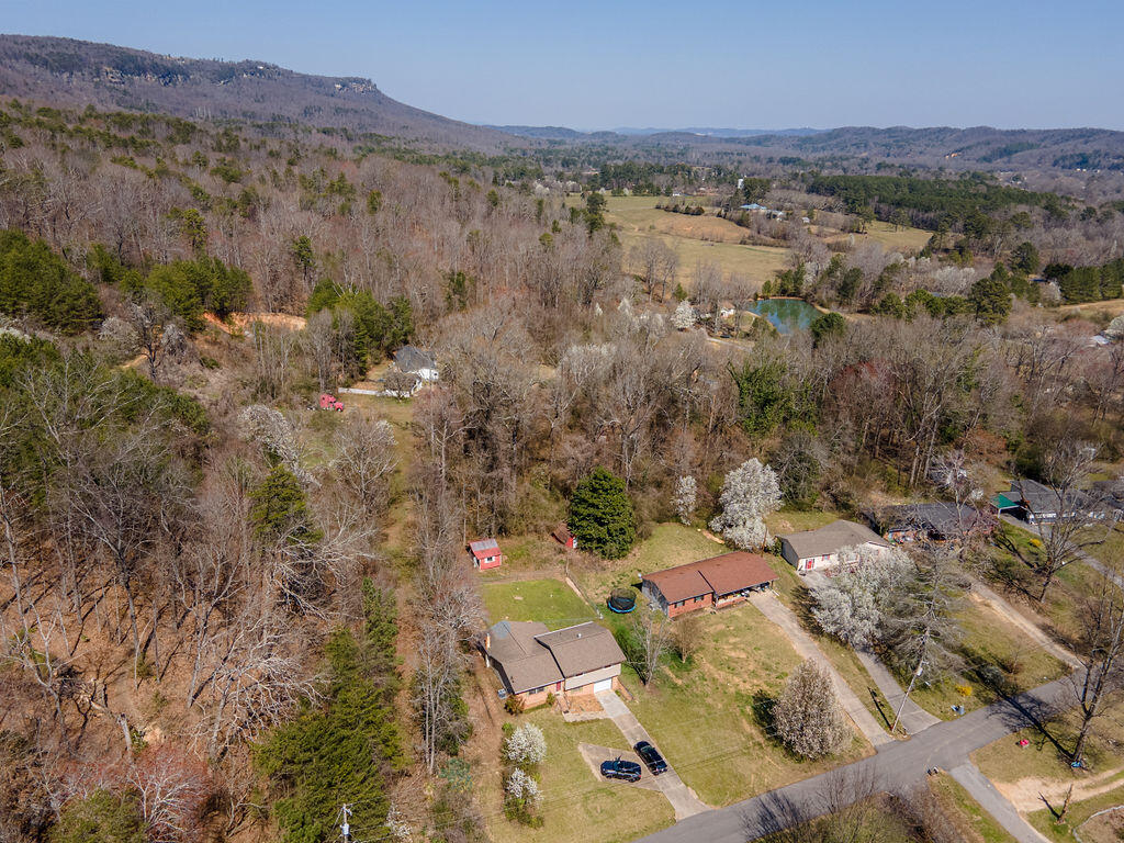 142 Bluff View Circle Flintstone, GA 30725 - Photo 46 of 46 BluffView-24