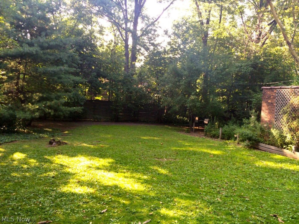 2517 Norfolk Road Cleveland, OH 44106 - Photo 2 of 16 Large backyard.