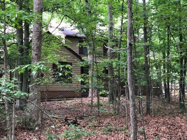11920 Nash Road Chesterfield, VA 23838 - Photo 39 of 40 Hard to beat this kind of privacy!