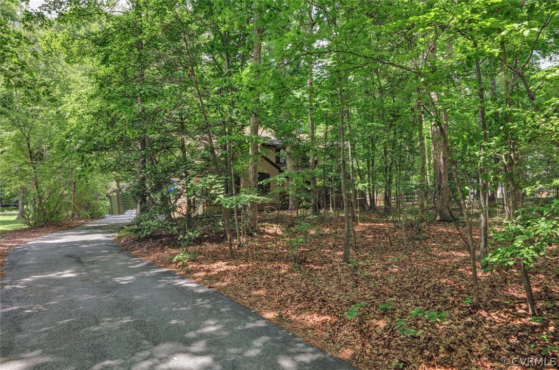 11920 Nash Road Chesterfield, VA 23838 - Photo 5 of 40 Long private driveway