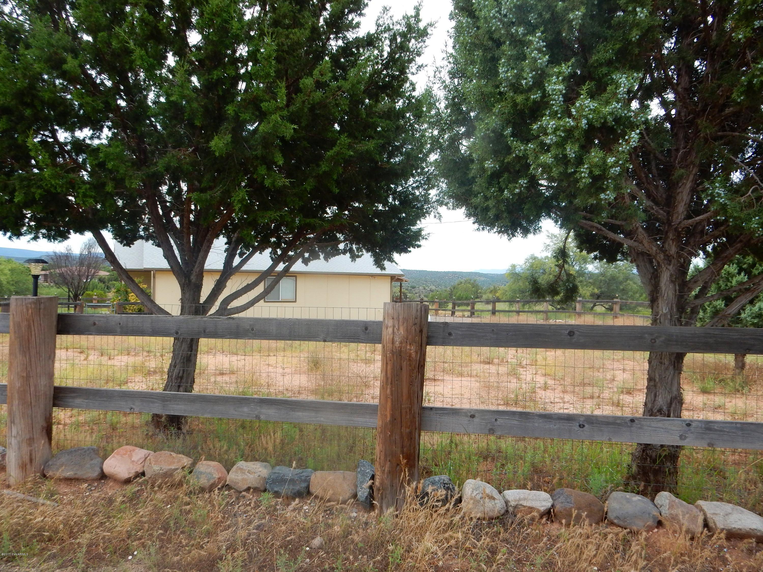Juniper Trees