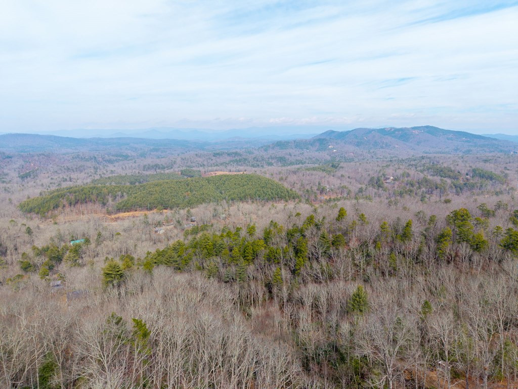 52 B Forest View Murphy, NC 28906 - Photo 10 of 13