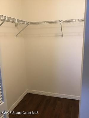 1720 Murrell Road, Unit 207 Rockledge, FL 32955 - Photo 11 of 17 Master walk in closet