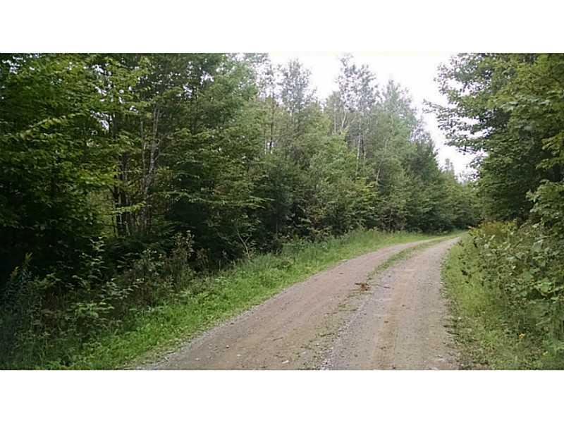 Lot # 8 Prescott Brook Road Springfield, ME 04487 - Photo 5 of 7 Land.