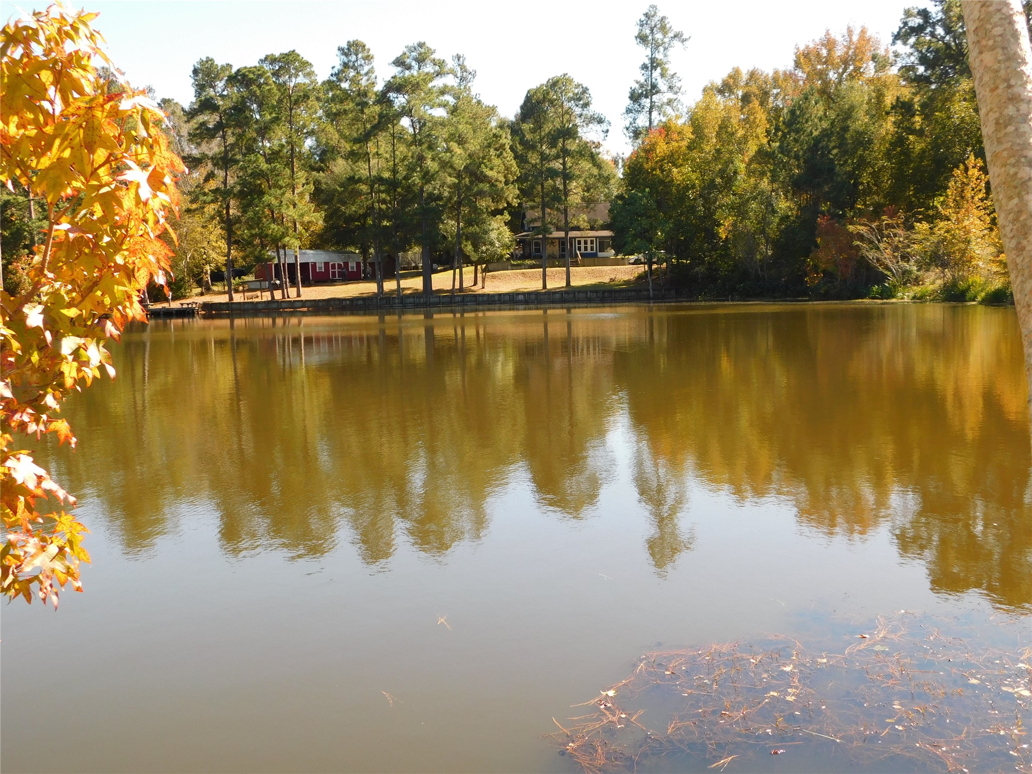 321 Broken Arrow Trail Goodrich, TX 77335 - Photo 2 of 31 Fall lake view