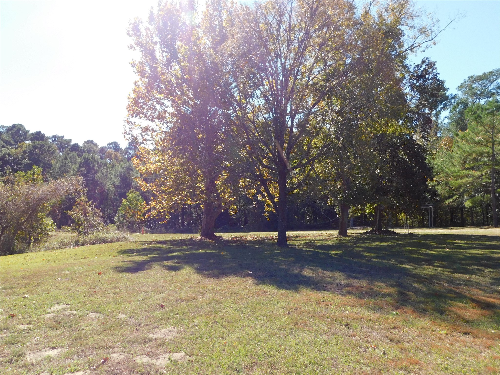 321 Broken Arrow Trail Goodrich, TX 77335 - Photo 29 of 31