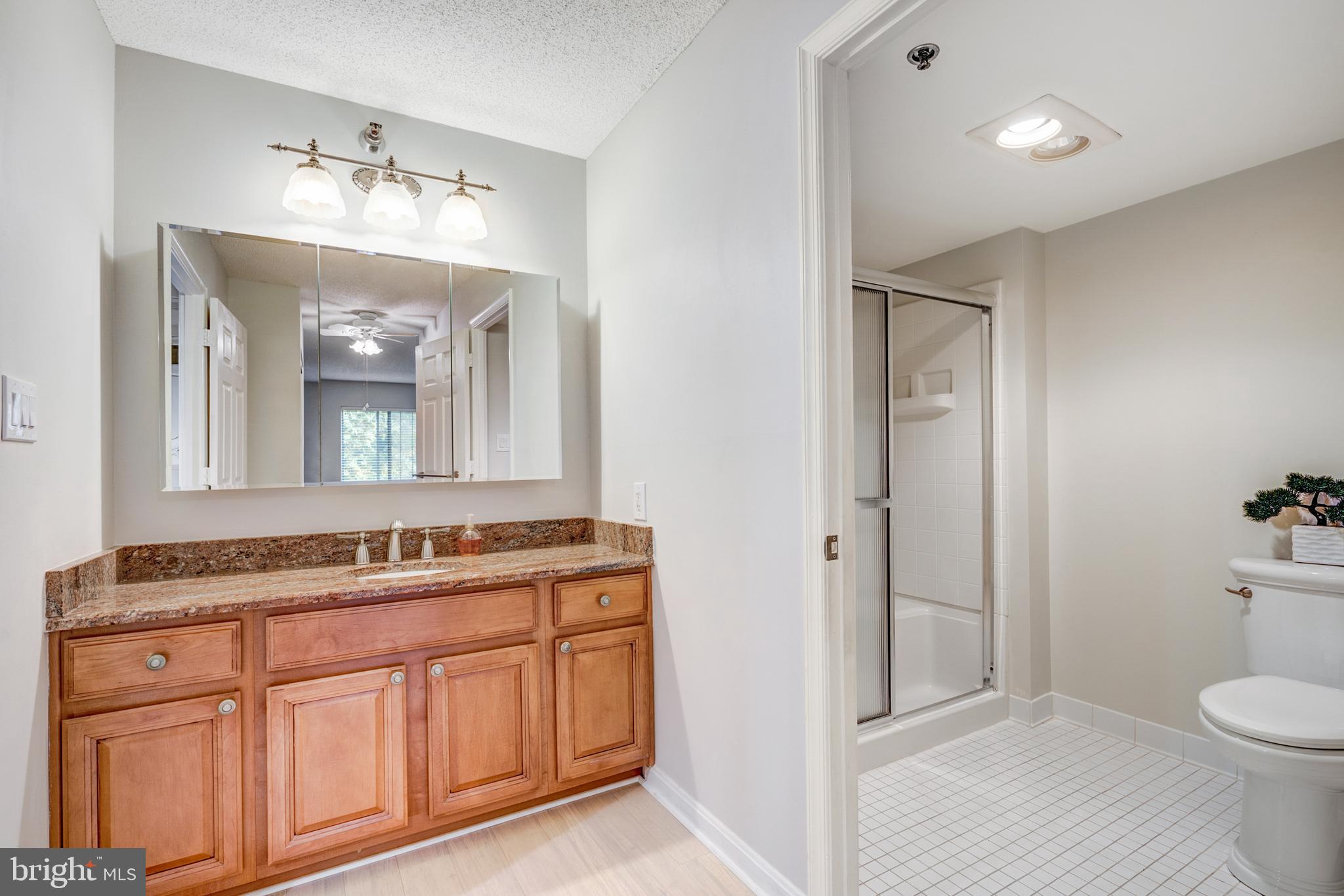 14809 Pennfield Circle, Unit 302 Silver Spring, MD 20906 - Photo 13 of 40 Primary Bathroom