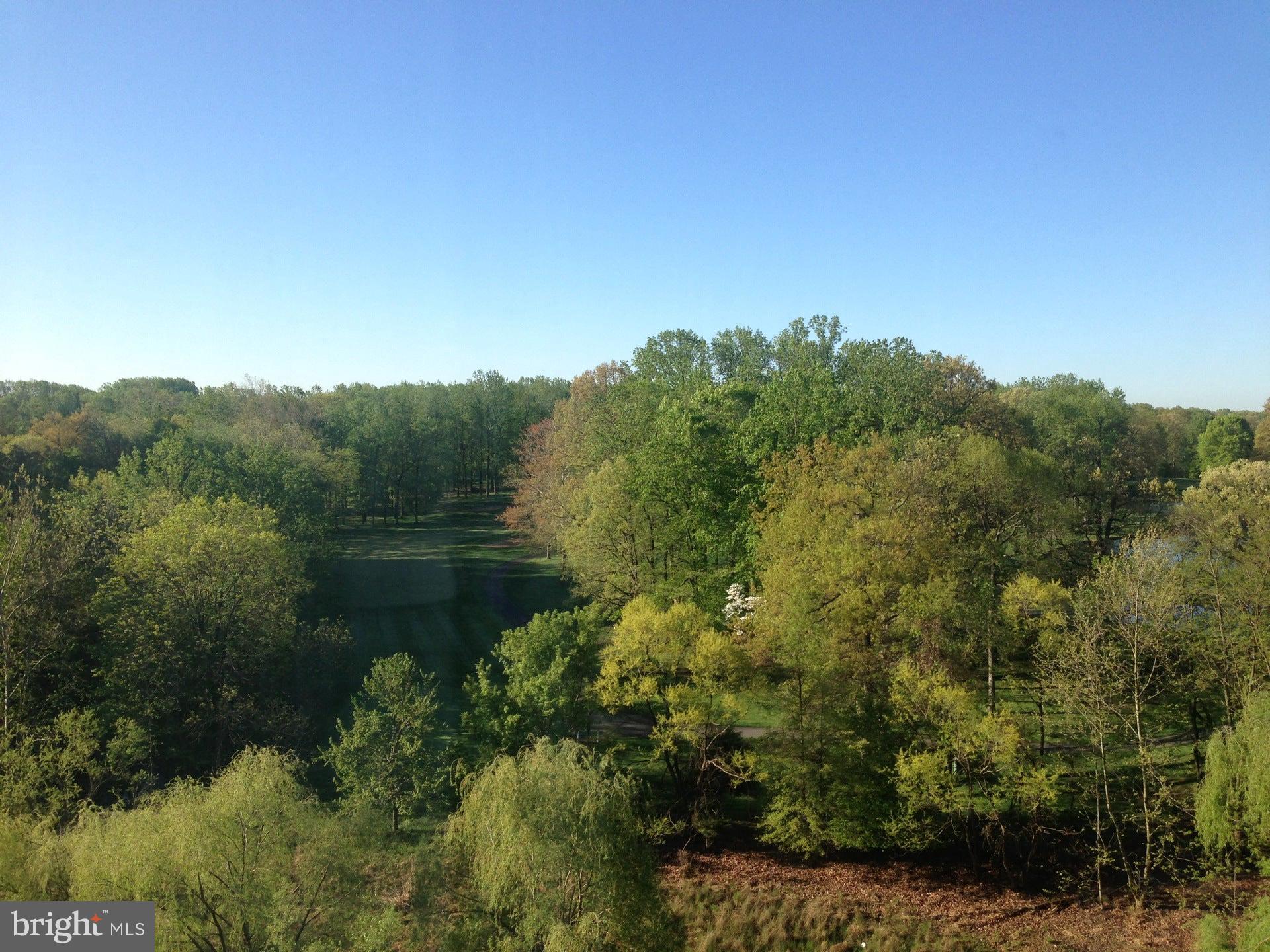 14809 Pennfield Circle, Unit 302 Silver Spring, MD 20906 - Photo 38 of 40 Beautiful Views