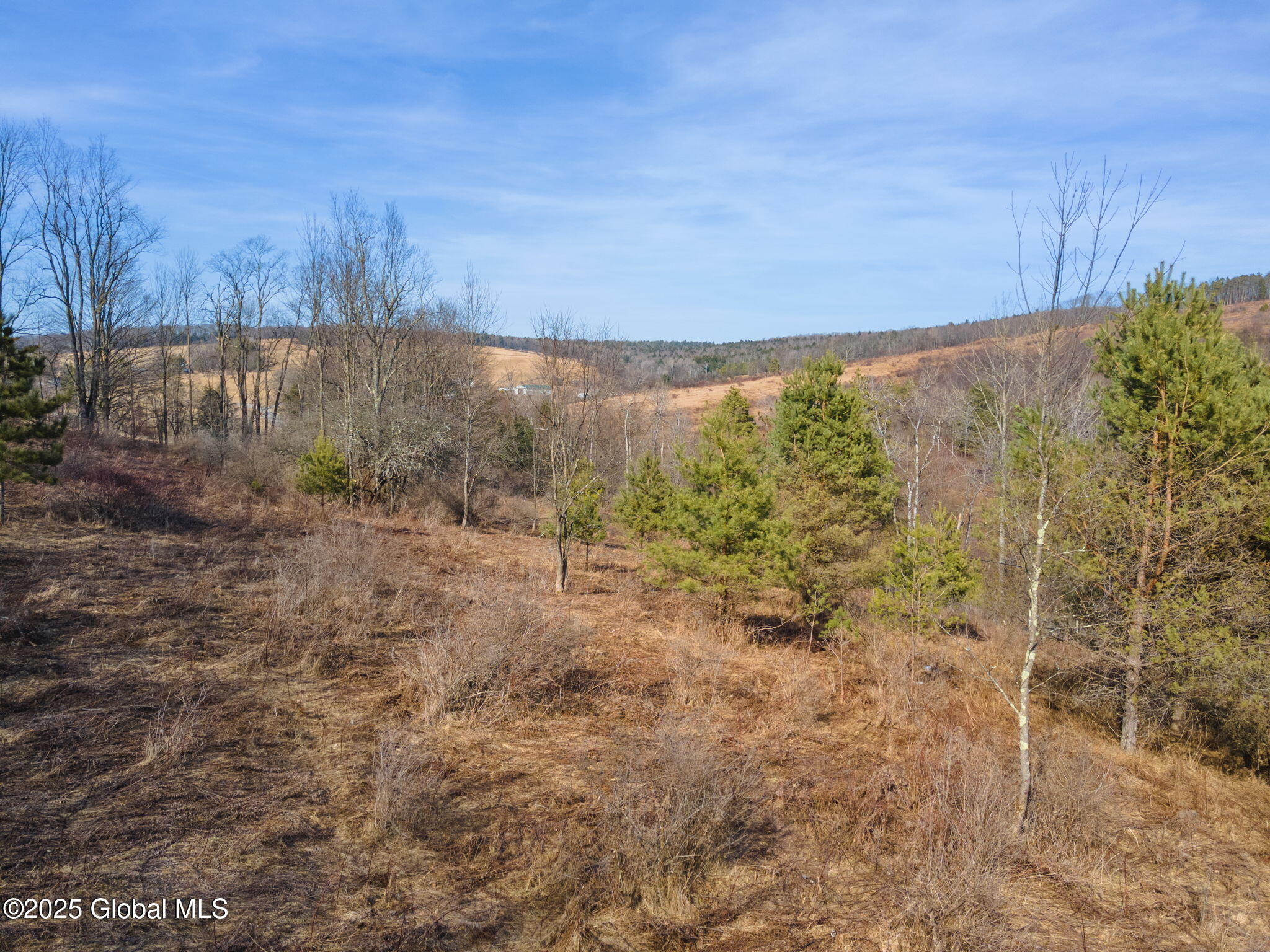 L20.2 Indian Brook Road Greene, NY 13778 - Photo 10 of 21 9-IndianBrookRd_09