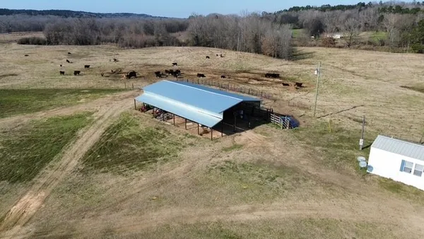 a view of a dry yard with trees