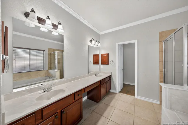 a bathroom with a double vanity sink a mirror and a shower