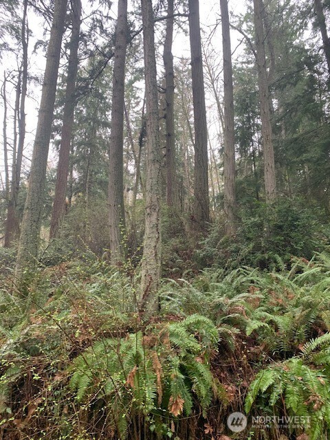 -xxx Hellman Road Clinton, WA 98236 - Photo 15 of 15