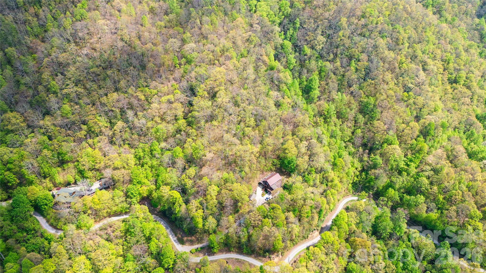 1602 Forest Run Road Whittier, NC 28789 - Photo 8 of 42 a backyard of a house with a tree