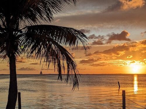325 Calusa Street, Unit 217 Key Largo, FL 33037 - Photo 40 of 63 Sunset