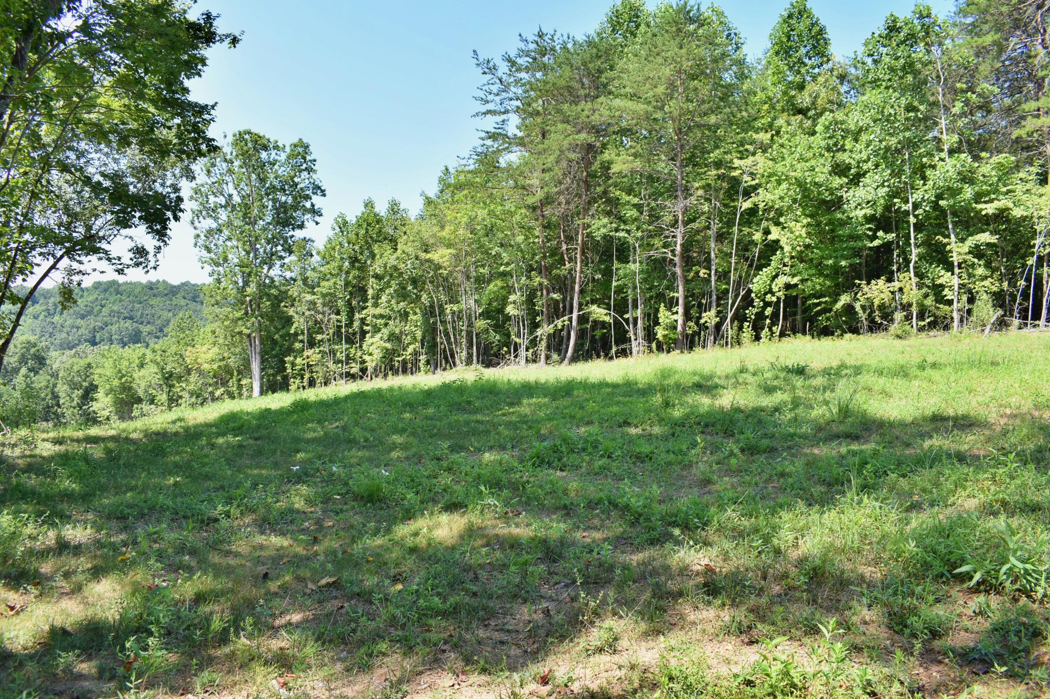 521 Norton Road Philadelphia, TN 37846 - Photo 12 of 42