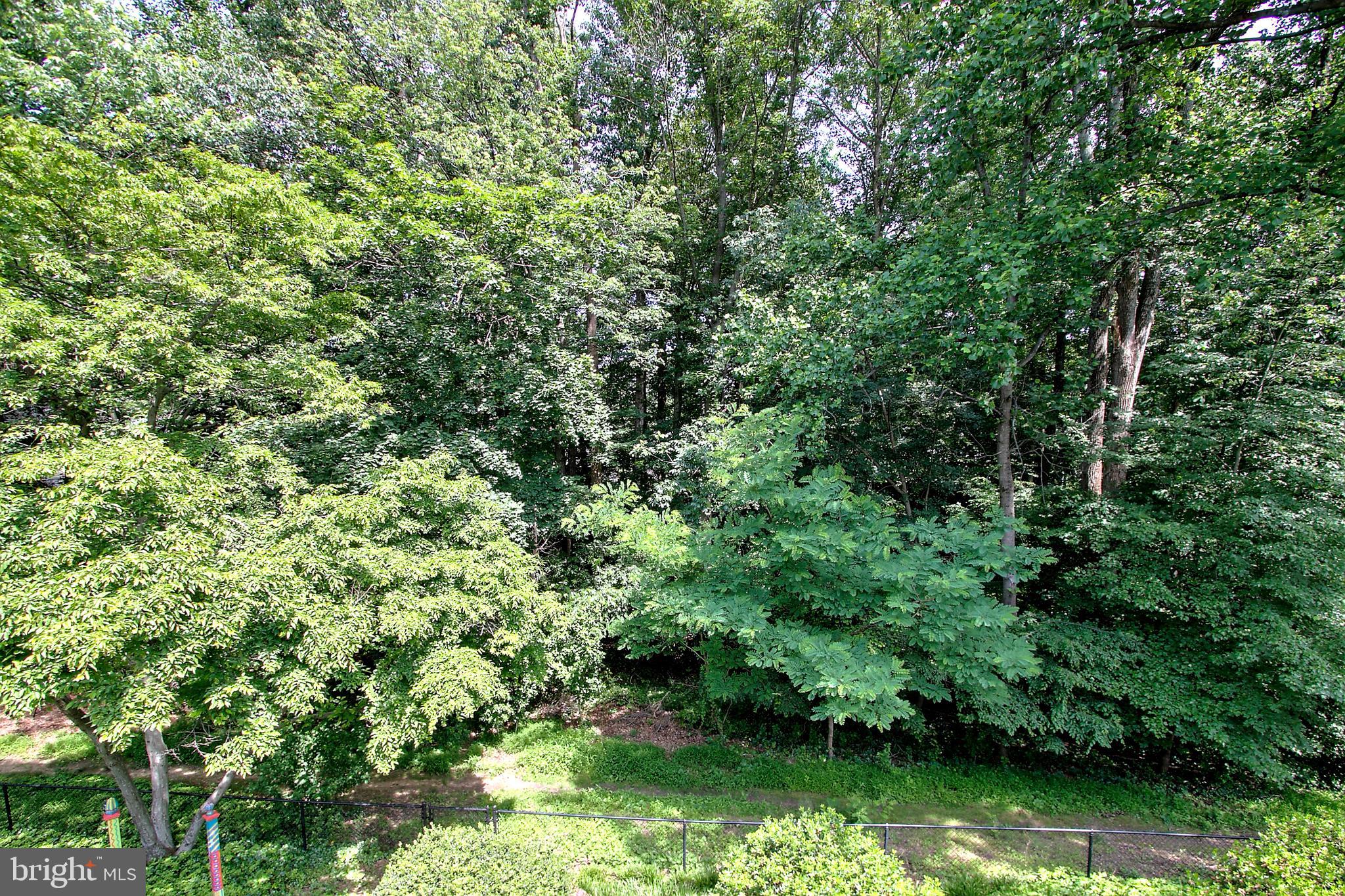 7919 St George Court Springfield, VA 22153 - Photo 45 of 51 What a View!