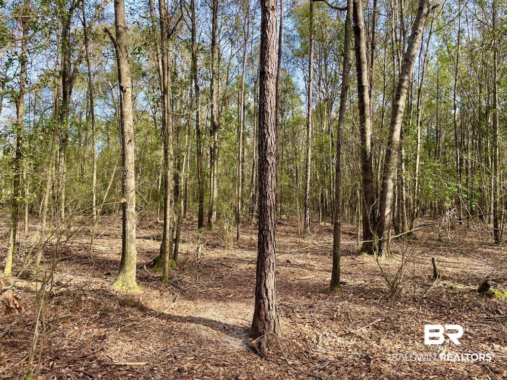 0 Baxter Road Wilmer, AL 36587 - Photo 6 of 6