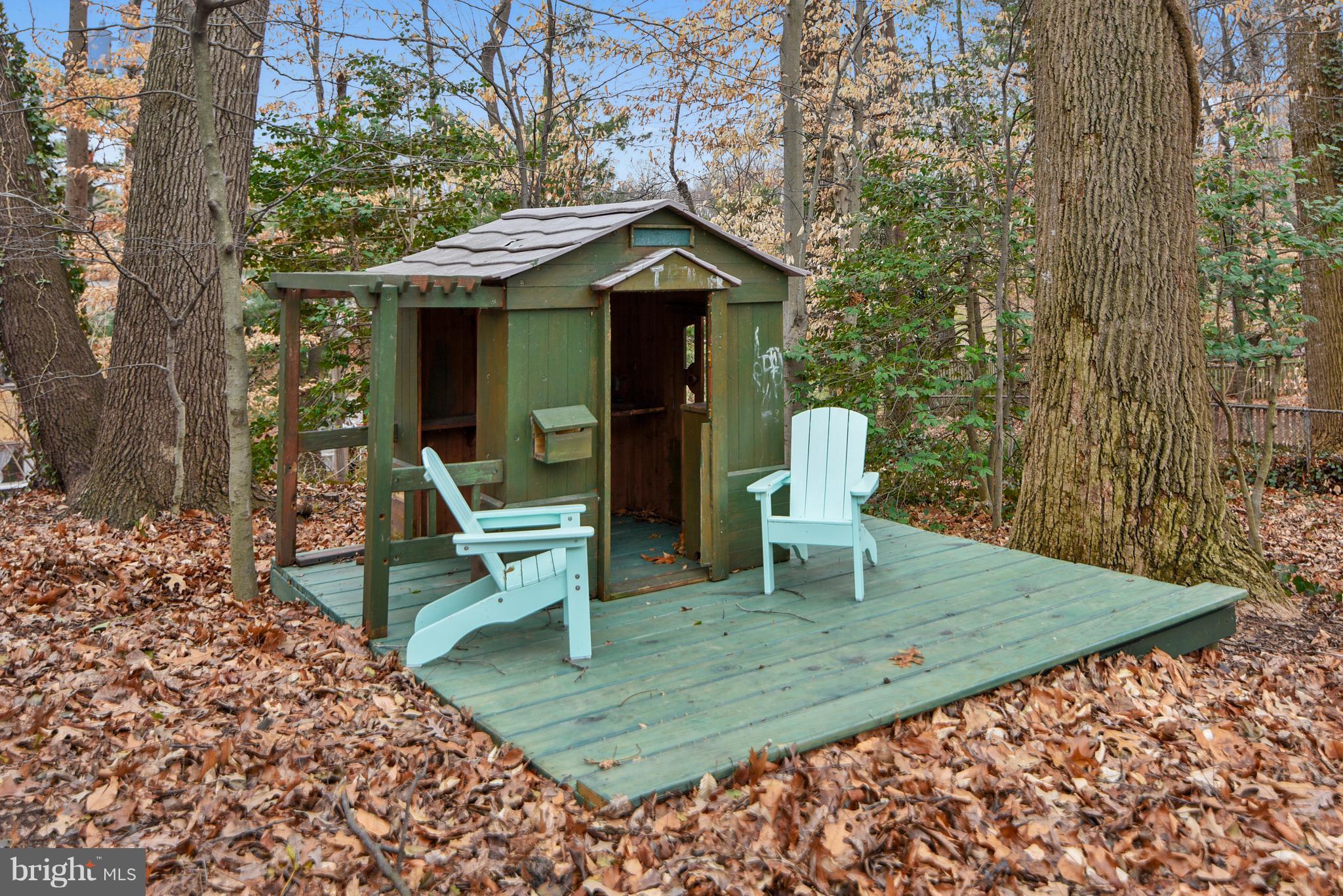 10021 Ranger Road Fairfax, VA 22030 - Photo 12 of 30 Rear Yard with playhouse