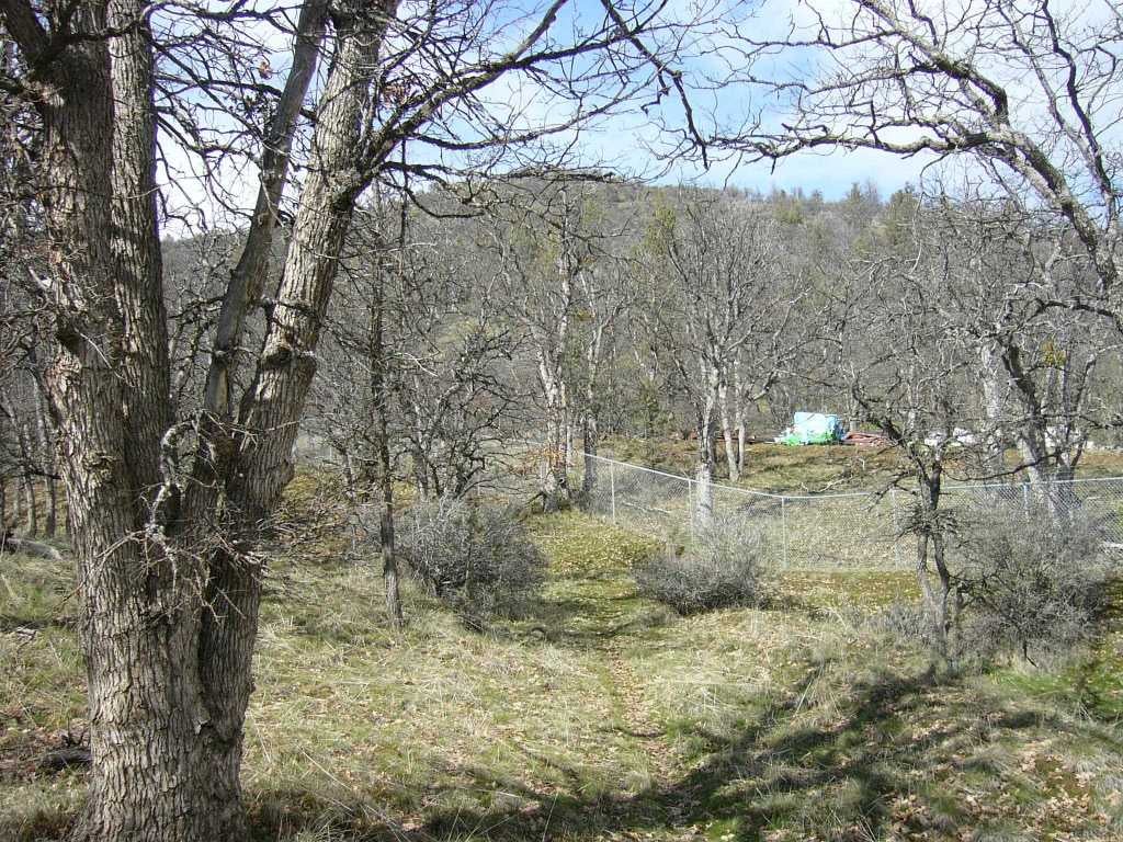2.54 Acres Outsen Road Yreka, CA 96097 - Photo 5 of 17 Gallery Image 5
