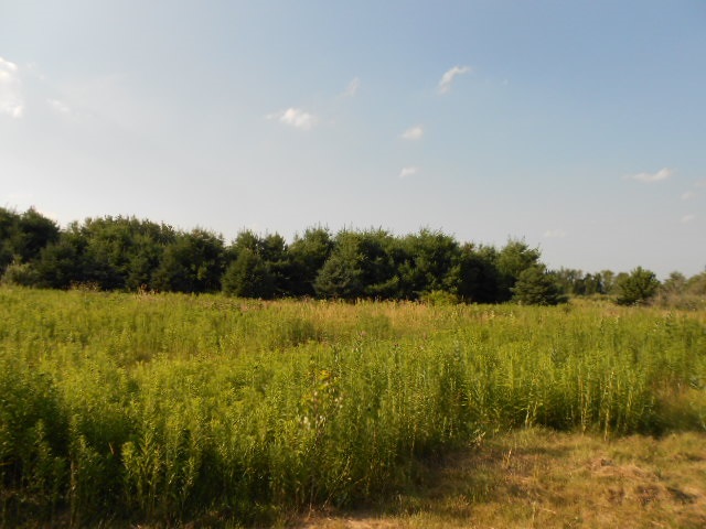 9364 West Monroe Road Elwell, MI 48832 - Photo 26 of 32 1820549-25.JPG