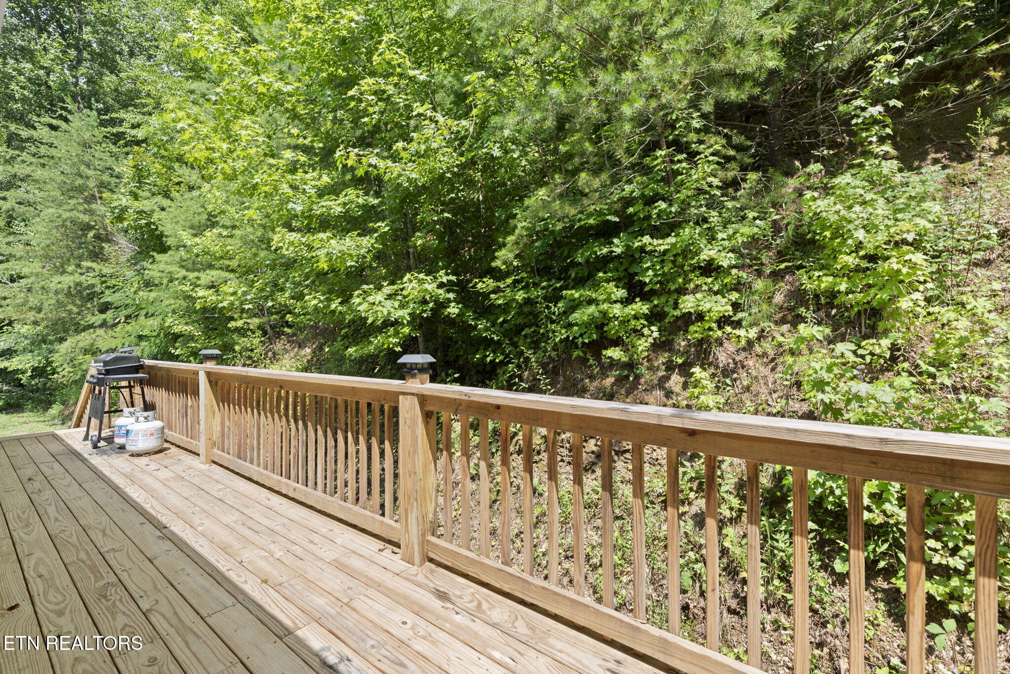 442 Half Moon Road Oliver Springs, TN 37840 - Photo 31 of 47 31-web-or-mls-HlfMn442 (69)