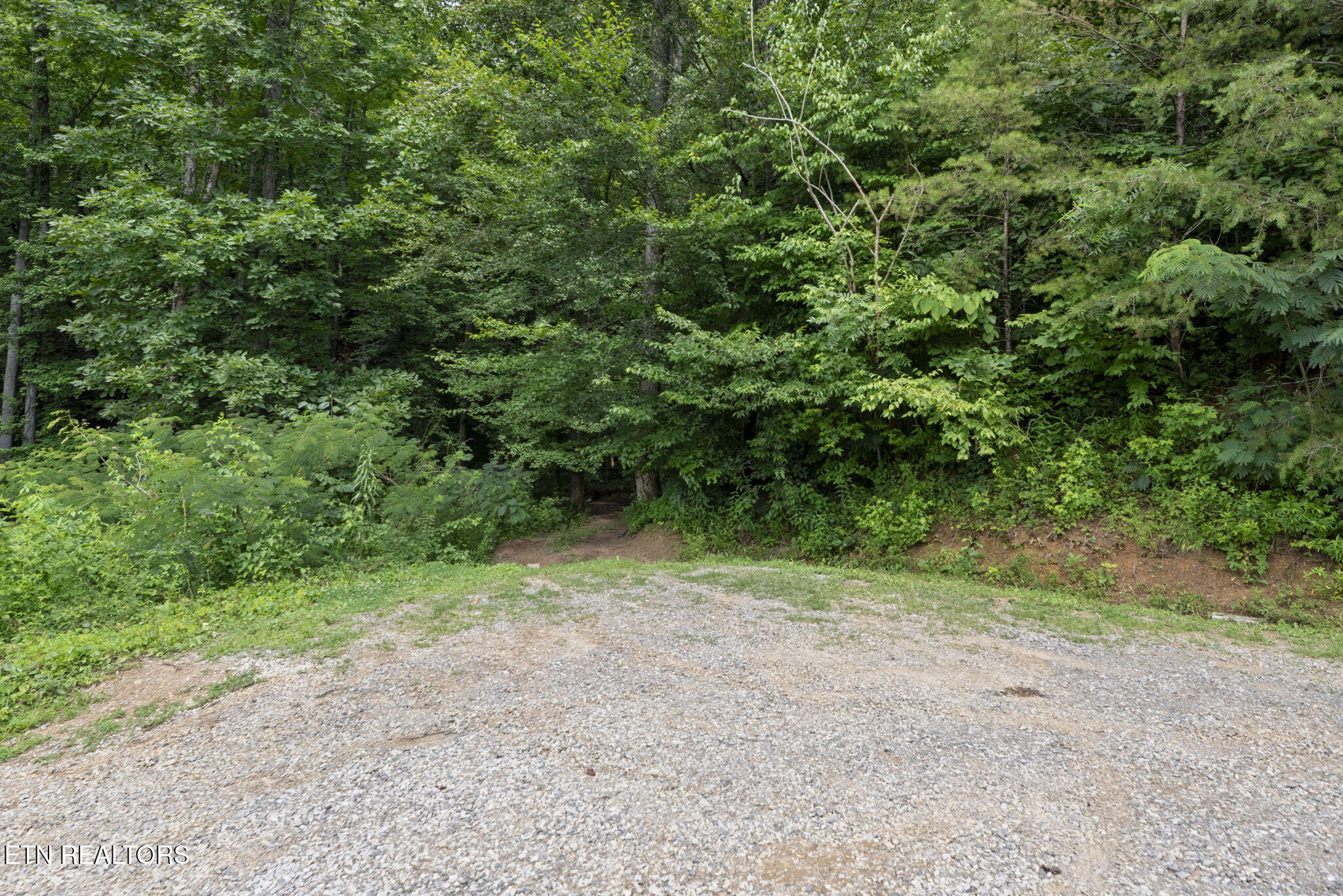 442 Half Moon Road Oliver Springs, TN 37840 - Photo 35 of 47 35-web-or-mls-HlfMn442 (99)