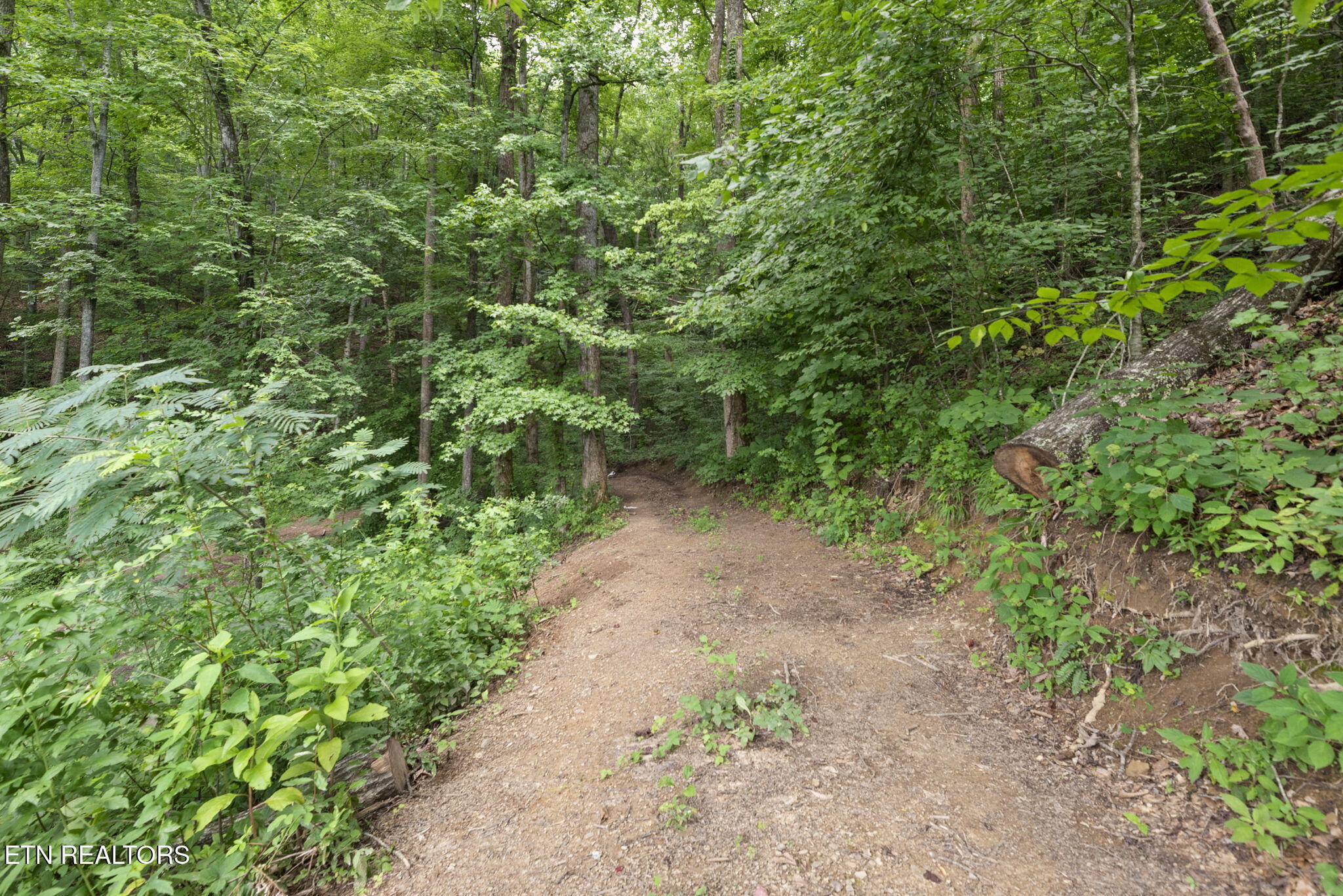 442 Half Moon Road Oliver Springs, TN 37840 - Photo 36 of 47 36-web-or-mls-HlfMn442 (100)
