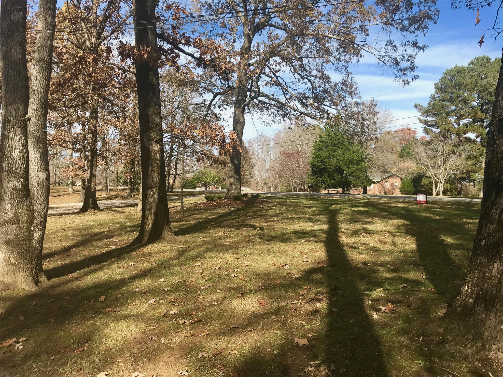 7202 Meadowwood Road Fairview, TN 37062 - Photo 5 of 30 Big Front Yard!