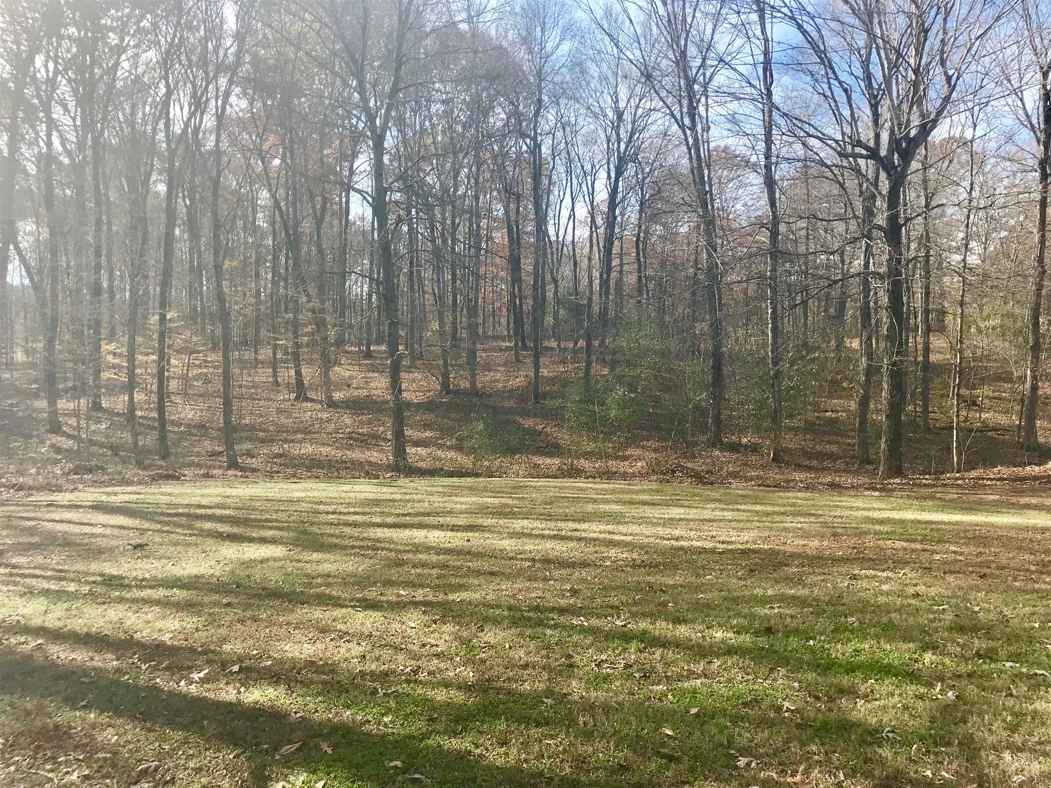 7202 Meadowwood Road Fairview, TN 37062 - Photo 8 of 30 Big Back Yard! Picture taken from the garage side of the yard.