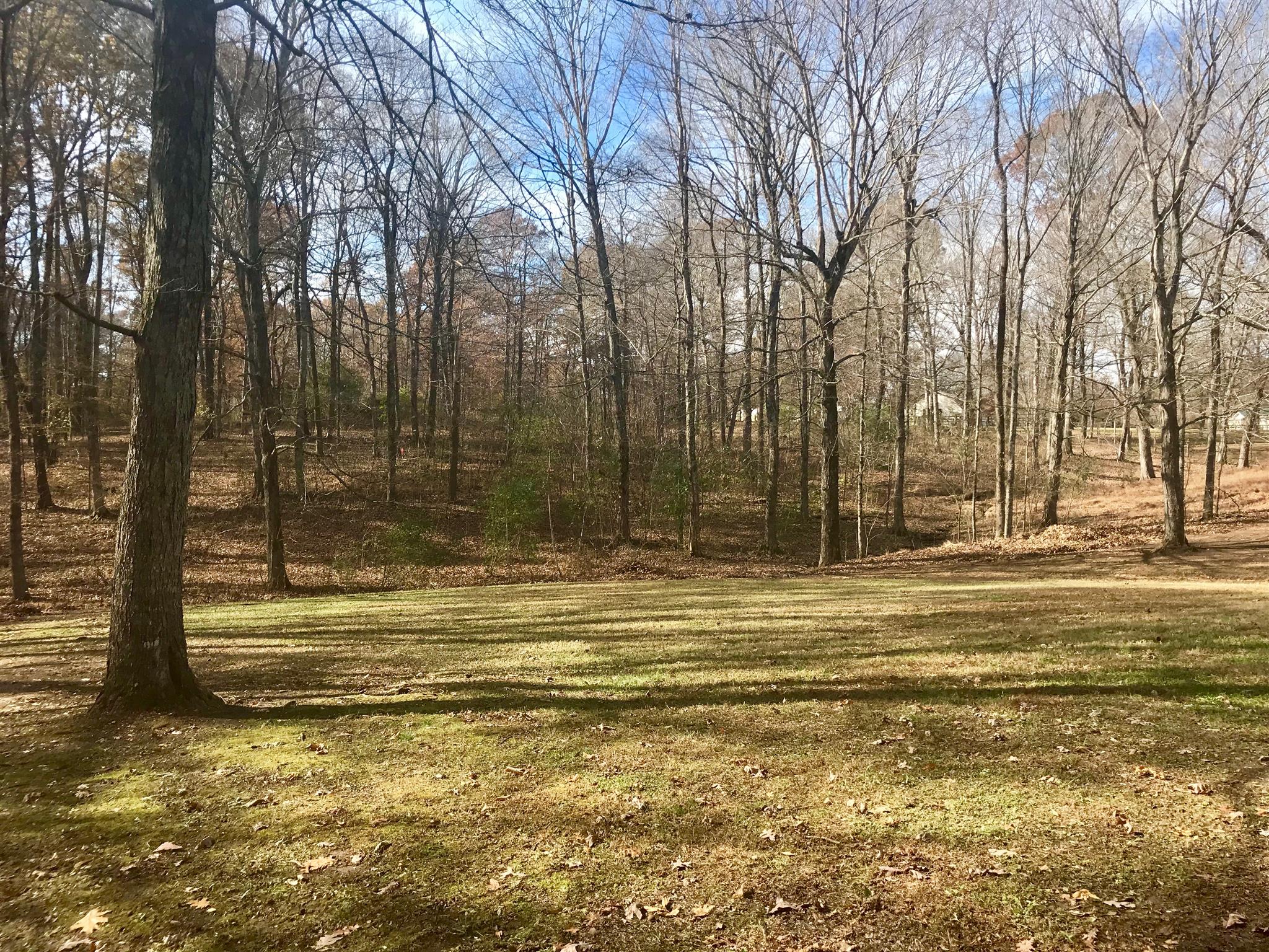 7202 Meadowwood Road Fairview, TN 37062 - Photo 9 of 30 Big Back Yard! Picture taken from the left side of the deck