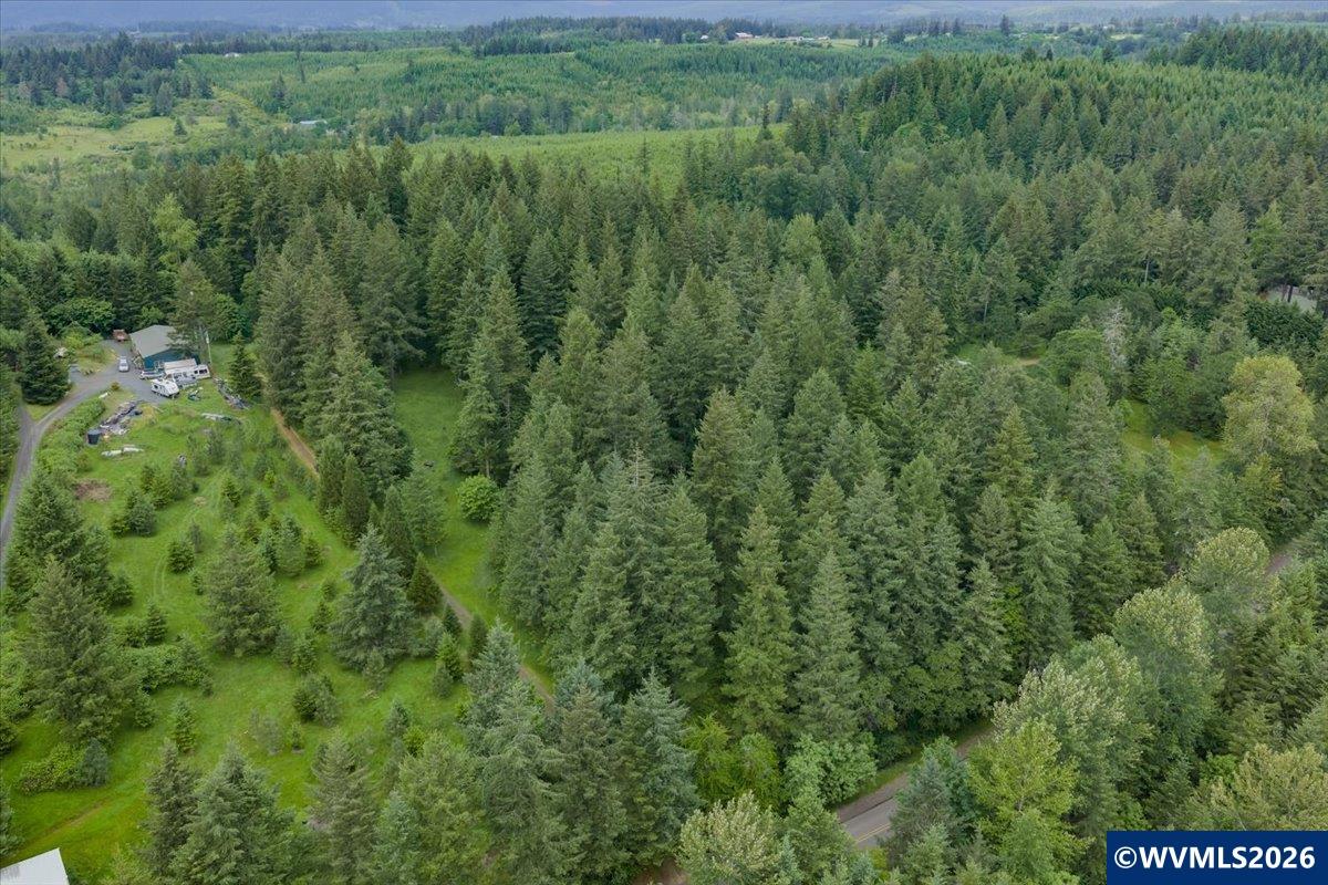 0057485 Next To 40587 Baptist Church Road Lebanon, OR 97355 - Photo 32 of 38