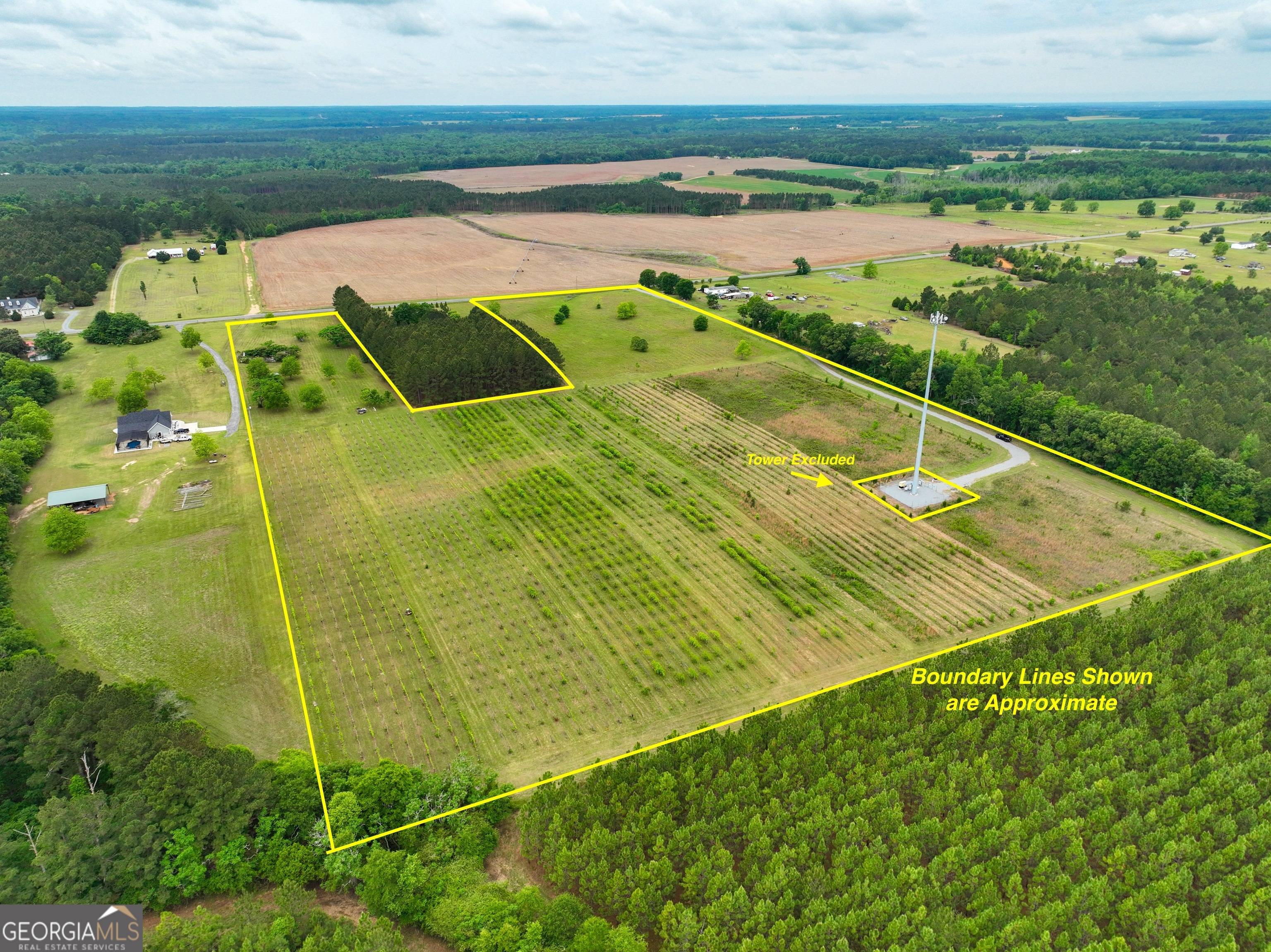 759 Pitts Road Hawkinsville, GA 31036 - Photo 1 of 15