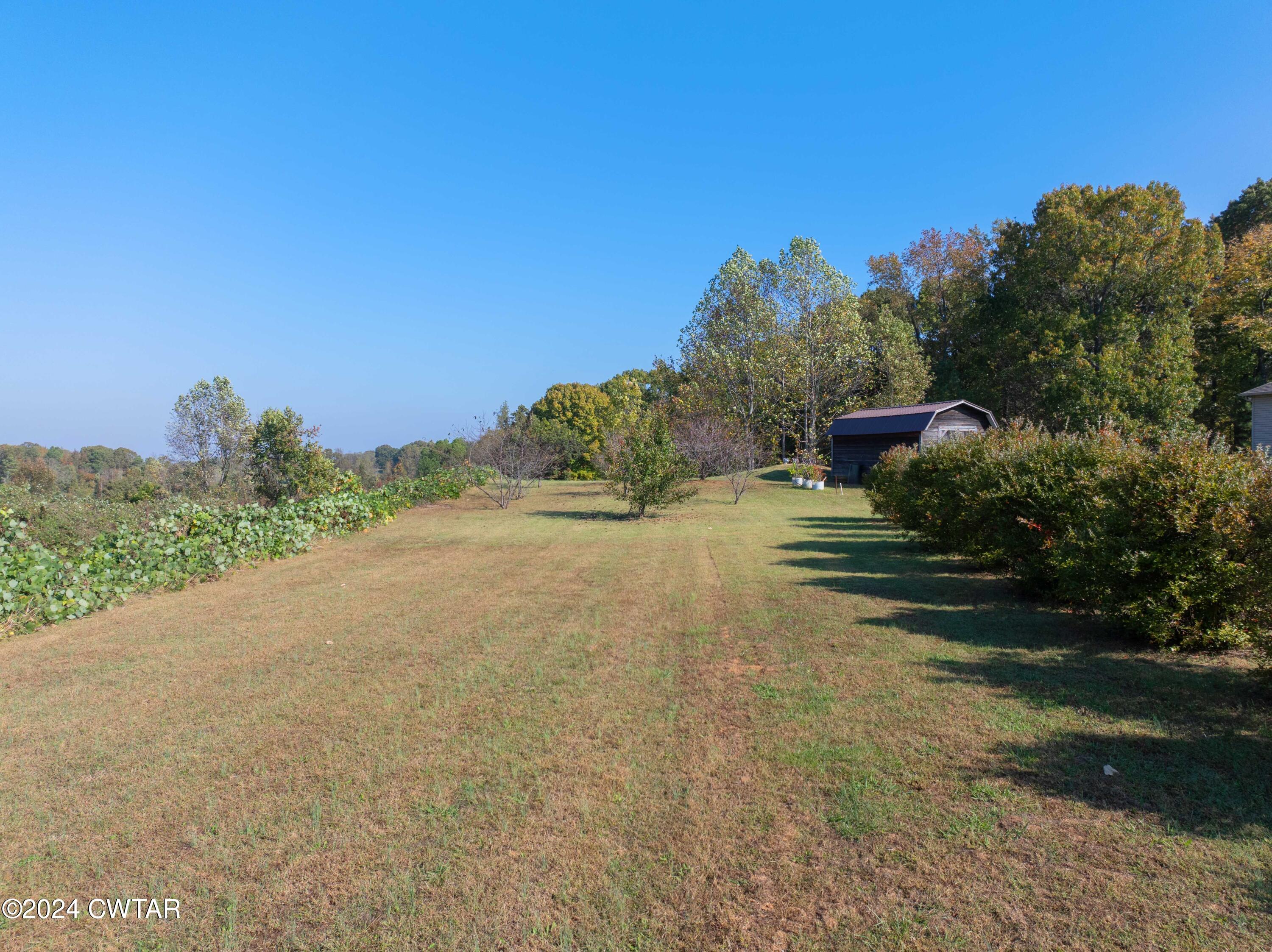 84 Riley Cove Lexington, TN 38351 - Photo 17 of 20 Level Backyard